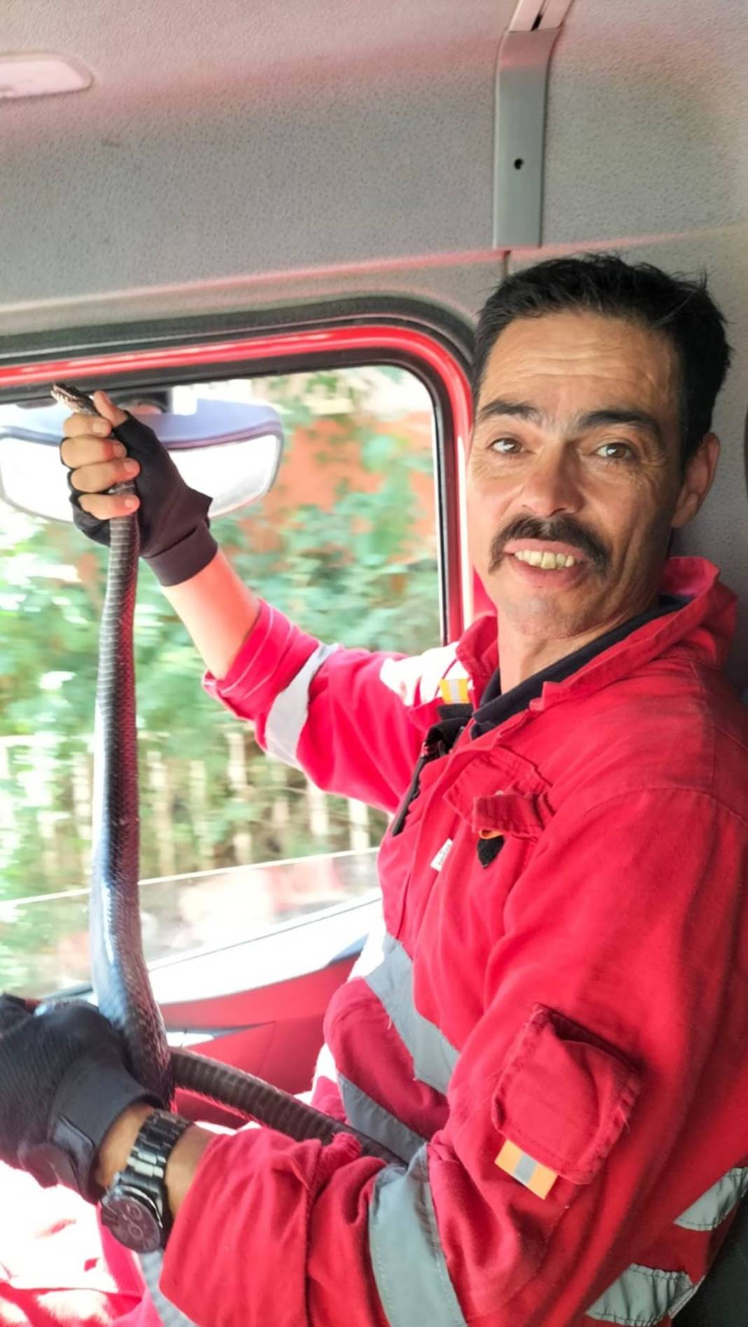 O kentte evlerden yılan fışkırıyor! İtfaiye ekipleri yoğun 'yılan' mesaisi yapıyor 6